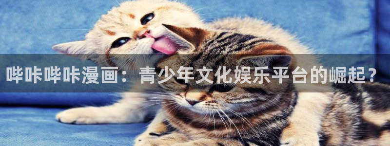 汗汗漫画中国漫画网：哔咔哔咔漫画：青少年文化娱乐平台的崛起？