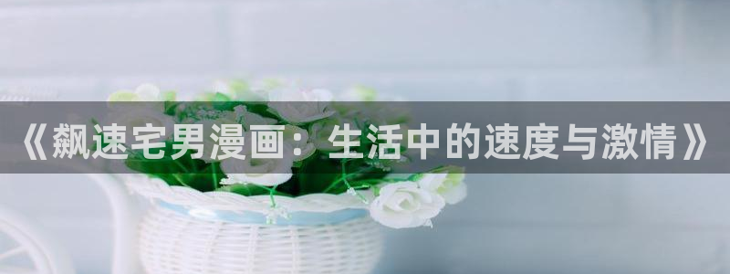 汗汗漫画免费漫画在线看：《飙速宅男漫画：生活中的速度与激情》