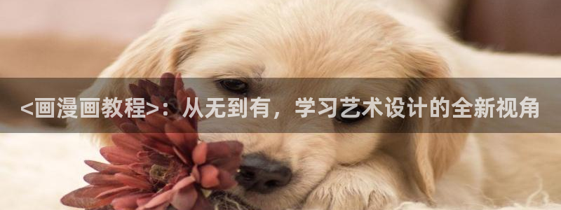 汗汗漫画免费漫画在线看：<画漫画教程>：从无到有，学习艺术设计的全新视角