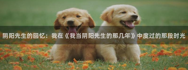 羞羞汗汗漫画在线：阴阳先生的回忆：我在《我当阴阳先生的那几年》中度过的那段时光