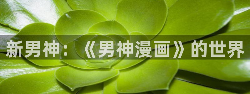 汗汗漫画火影忍者