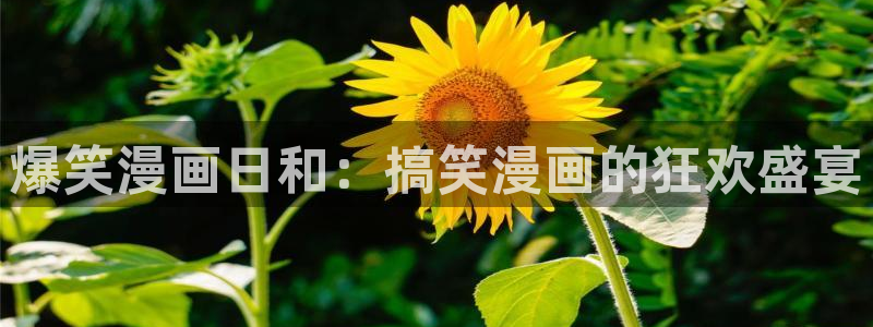歪歪漫画——汗汗漫画