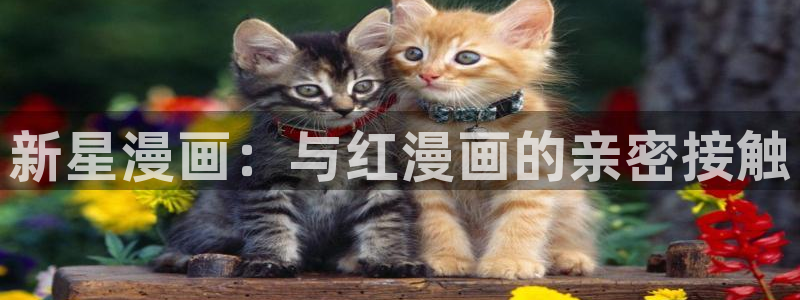 汗汗漫画无翼鸟